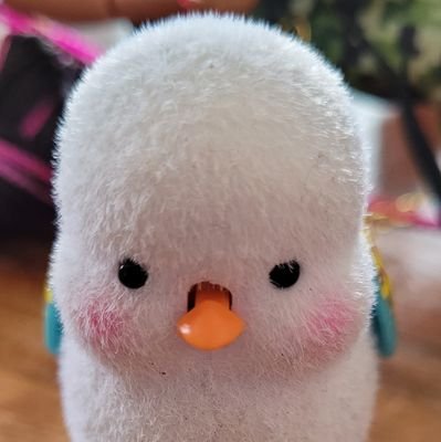 just_4_de_craic's profile picture. 