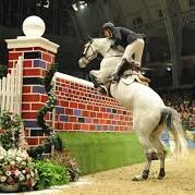 The Equine Channel (@channelequine) 's Twitter Profile