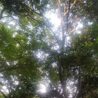 weoverthought's profile picture. Looking for a support group for people prone to bad decisions.