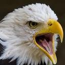 Screamingeagle - @SteveAtkin1 - Twitter