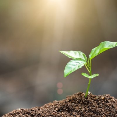 Trabajo en medios de comunicación. Me interesa la ornitología y soy aficionado al estudio de la biología.