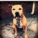 Andrew Reamer - @AndrewReamer - Twitter