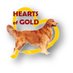 Hearts of Gold WV (@heartsofgoldwv) Twitter profile photo Hearts of Gold WV (@heartsofgoldwv) Twitter profile photo