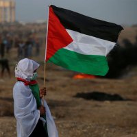 Maryeah 🇵🇸(@careydeenuh) 's Twitter Profile Photo