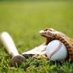 Section 1A Baseball (@1asection) Twitter profile photo Section 1A Baseball (@1asection) Twitter profile photo