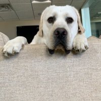 jw reese (@jwr3) 's Twitter Profile