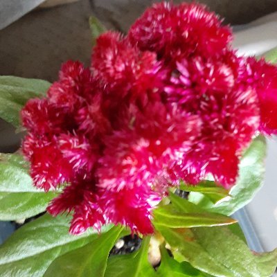 bitbytebinary's profile picture. 