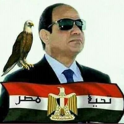 Masry20828827's profile picture. ‏‏‏‏‏‏‏مصرى بعشق بلدى وروحى فداها واحب ابطالها الصامدين فى مواجهة الاعداء والخونة..تحيا مصر بجيشها وامنها..بلاد العرب اوطانى..بحب السيسى رئيس الجمهورية الجديدة