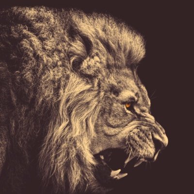 AdelinStefan13's profile picture. 18
In love
Programmer