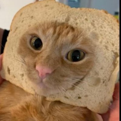 medium_loaf Profile Picture