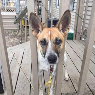 sam88kuper's profile picture. just sitting here, wasting my life.