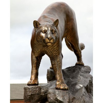 Nandita47551733's profile picture. 