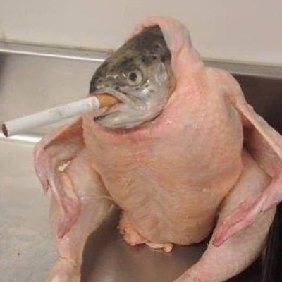 JamieFerrar1's profile picture. 