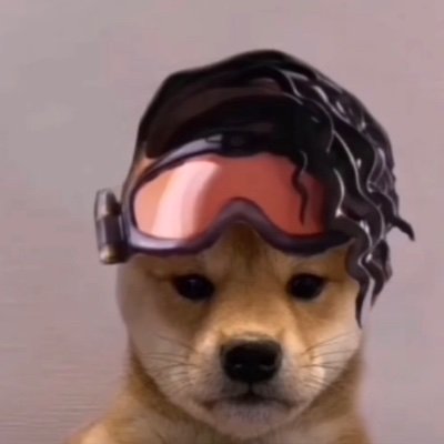 Potatobusrides On Twitter Delxtd Onxbox Raxeii2k Ong Twitter