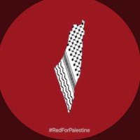 محمد الفارسي 🇵🇸🇴🇲 (@mohammed2260) 's Twitter Profile