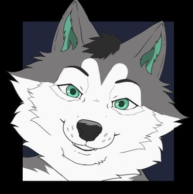 @mad_wolf_br