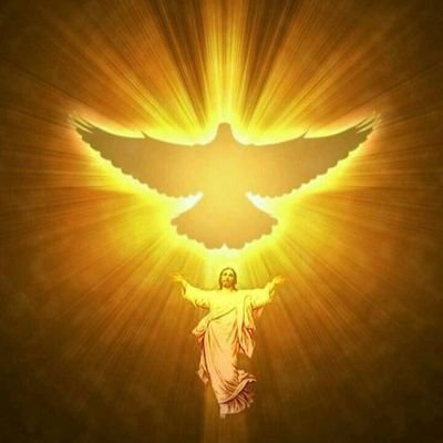 marianelajmm1 💫
El señor es mi fe 🙏(perdí mi otro cuenta )