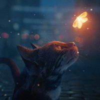 DiverseSpreuken (@diversespreuken) 's Twitter Profile