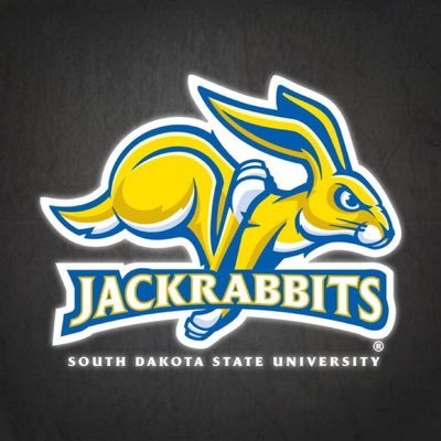 Mom, Wife, Marketing & Sales professional, lover of funny things. Proud SDSU Jackrabbit.