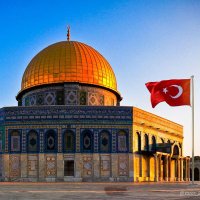 Mahmut Candan🇹🇷﷽ (@mahmutcandan) 's Twitter Profile