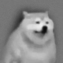 vurmthewormpriv's profile picture. an account where I’ll actually try to speak my mind I hope. please don’t leak tweets from here :/ (you can follow with whatever account idc)