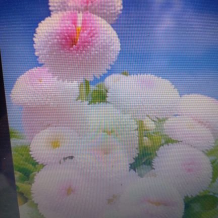 BYangao's profile picture. 