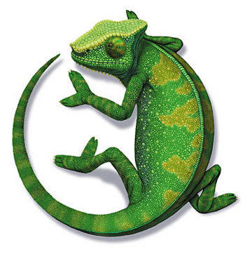 Chameleon print - we design and print low cost and effective BUSINESS CARDS for all industries - get your name out there at an affordable price.
