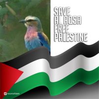 ♂️🇮🇩🇵🇸🍉نوع🍉🇵🇸🇮🇩♂ (@wongjatisari) 's Twitter Profile