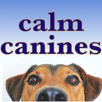 Calm.Canines 🐶🎵💤❤️ Music & Sounds to Help Dogs(@CalmCanines) 's Twitter Profile Photo