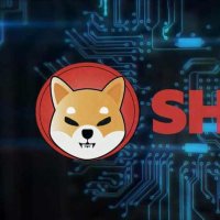 Rob (@here4crypto2day) 's Twitter Profile