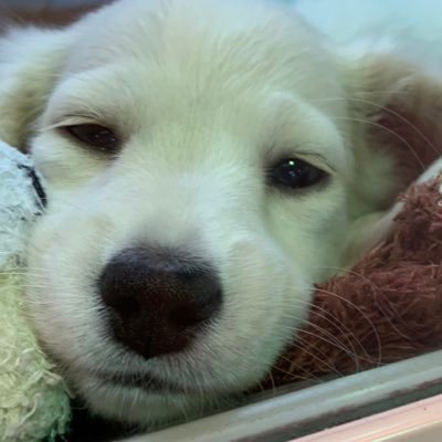 mnkj0903's profile picture. 