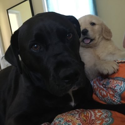 fredandfee's profile picture. Corncobs, blankets, buttons, Bravo, book reviews & long walks on the beach. Ambassadors of daily happiness. Opinions are those of Fred & Fee.