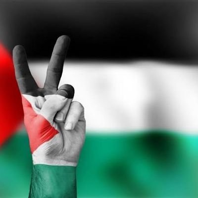 GOCEBE's profile picture. Eger karşı evde oturuyor olsaydın, senin sabahların için begonyalar alırdım. Hala çocuğum,hala şarkıma ve bu sokağa borçluyum,derdim..