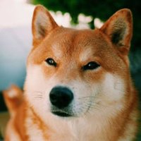 totzki (@totzki2) 's Twitter Profile