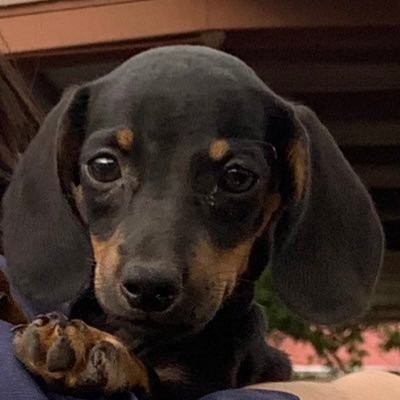 R3DavidIII's profile picture. 