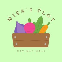 Misa's Plot(@misas_plot) 's Twitter Profile Photo
