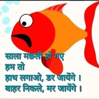 Ankur (@ankurrocks113) 's Twitter Profile