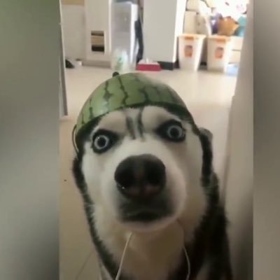 TienTra96795541's profile picture. Asian