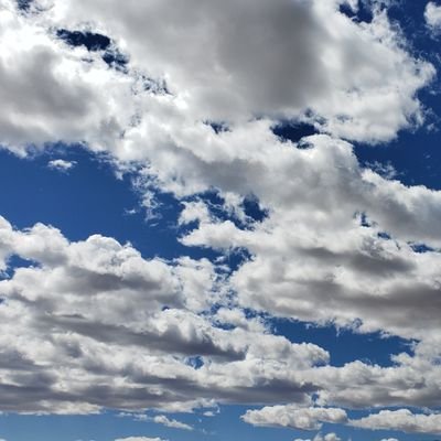 clippergirl425's profile picture. 