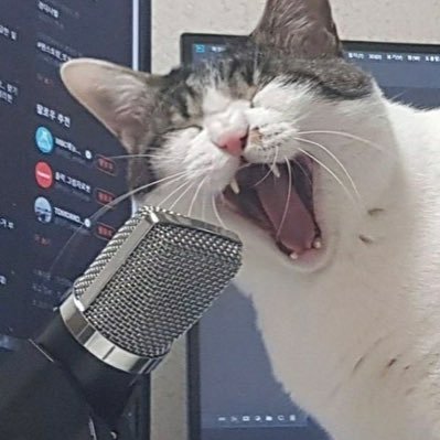 zekerulescock's profile picture. never been so horny