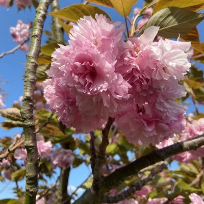 Unistyle_To's profile picture. 