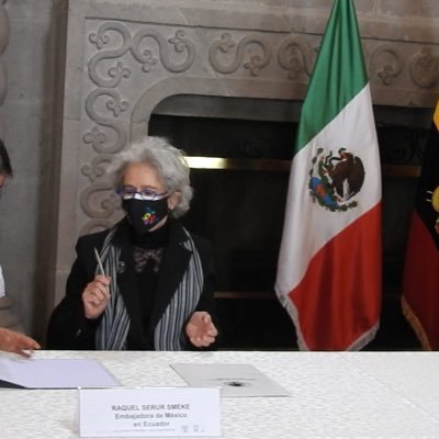Embajadora de México en la República del Ecuador. tweets personales. rt no significa validación