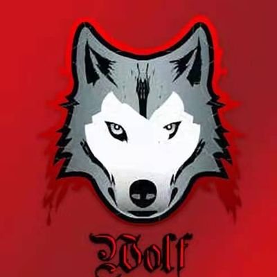 DarwinismRose's profile picture. 🔴Wolf dog is an experiment of global decentralized spontaneous community construction. It was founded by big investors of dog dog excellent invest. hold it🚀🚀