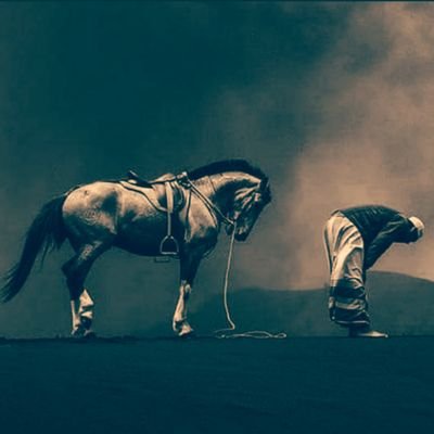 Ayyan_AA's profile picture. وَلَسَوۡفَ يُعۡطِيكَ رَبُّكَ فَتَرۡضَىٰٓ