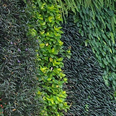 green_environm's profile picture. Green Living is a booster