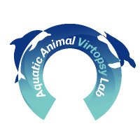 AquaticAnimalVirtopsyLab 海洋動物影像解剖研究組 (@aavlab2014) 's Twitter Profile