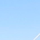 w_xmrv's profile picture. 成人済です、取引経験多数あり。取引成立しましたら本垢提示可能です。 30代社会人。全てのDMに返信できない可能性がございますのでご了承ください。フリマアプリ対応不可。