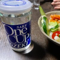 ワンカップと共に (@onecup_ozeki_) Twitter profile photo