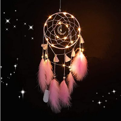 DishaDaga01's profile picture. HNLU '27⚖️