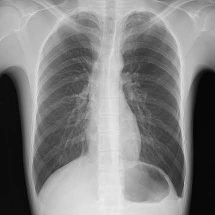 GaliGaliMura's profile picture. M2 K3
今年はhoudiniが熱いらしいですよ